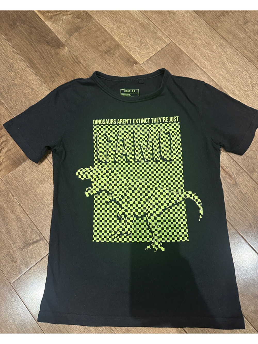 NEXT DIRECT • Black Tee with Neon Green Dinosaur Graphic